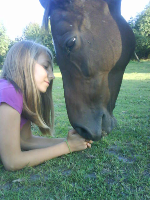 Scheria :**