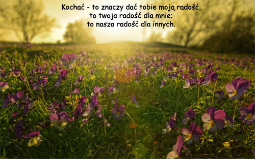 CHC POKOCHA