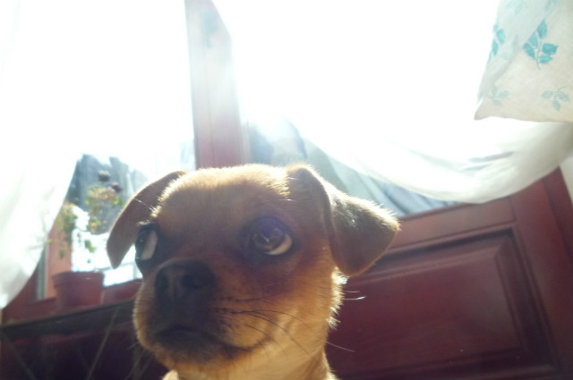 :)