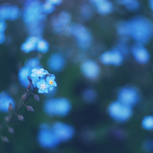 blue