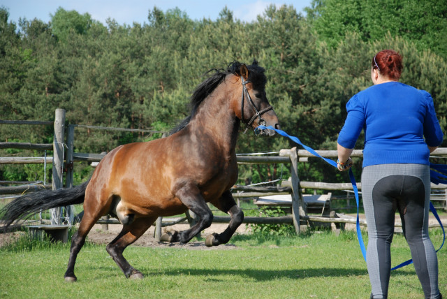 Klusek :)