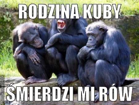Rowek