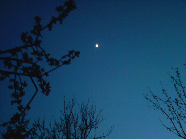 Dark.