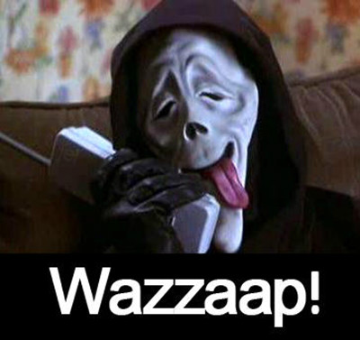 wazzaap! : pp