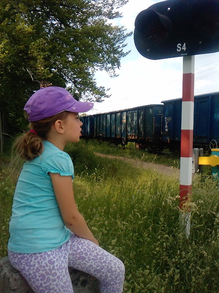 Mala podrzniczka