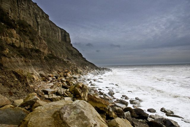 Hastings Shore