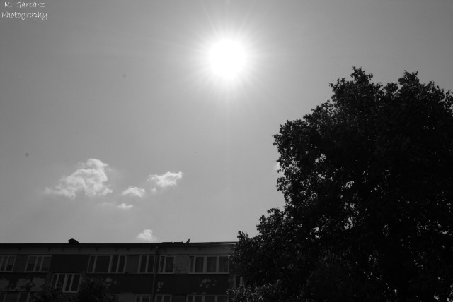 23 maja 2012