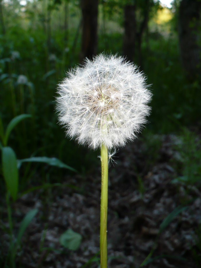 w szafie gupoty zamykaj idiotw
