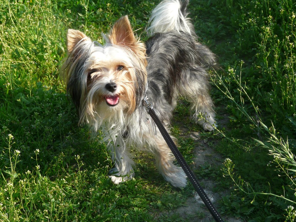 cliperek :**