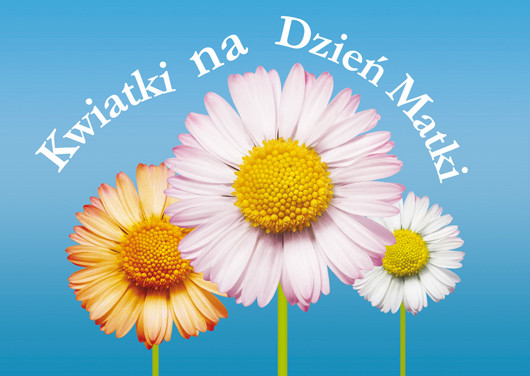 dzien mamy !