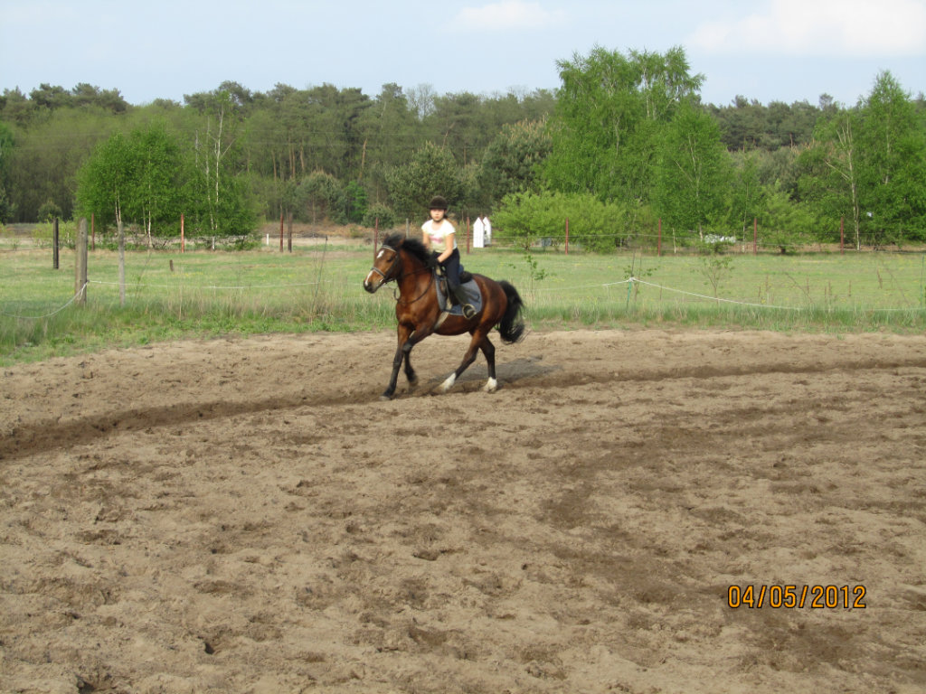 Galop-Nord