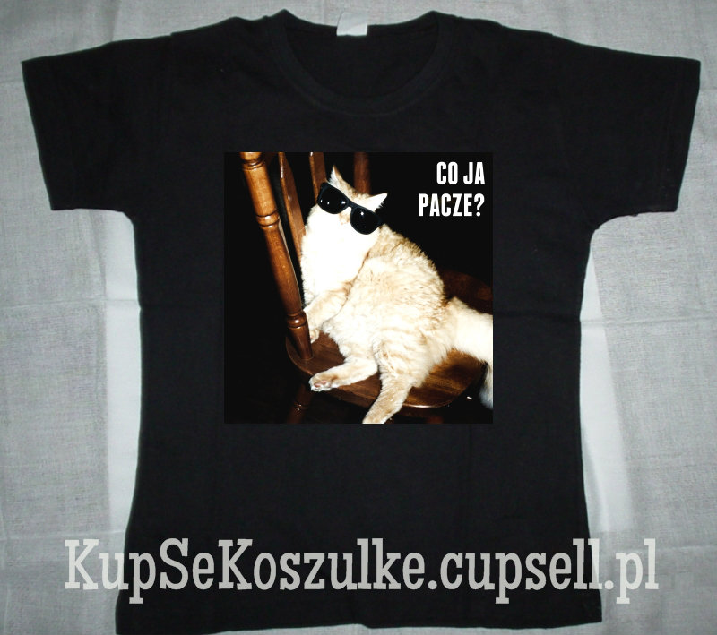 Koszulka Kot - Co ja pacze