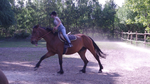 Galop na Platyniee 