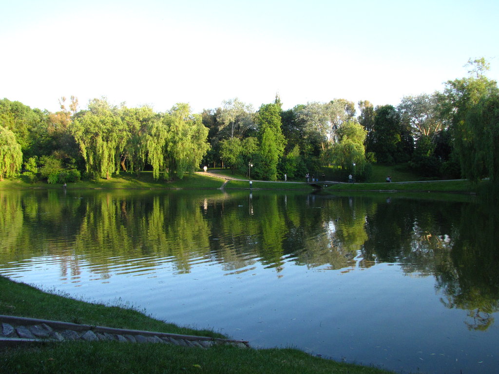 widoki