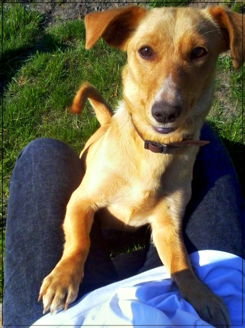 Lola