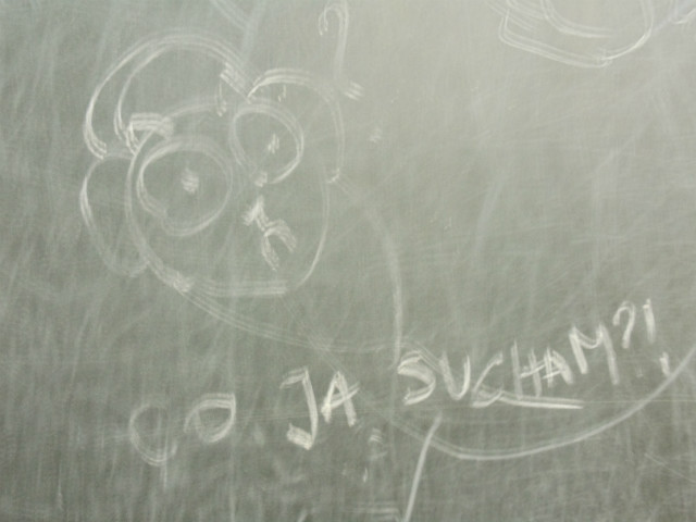 co ja sucham?