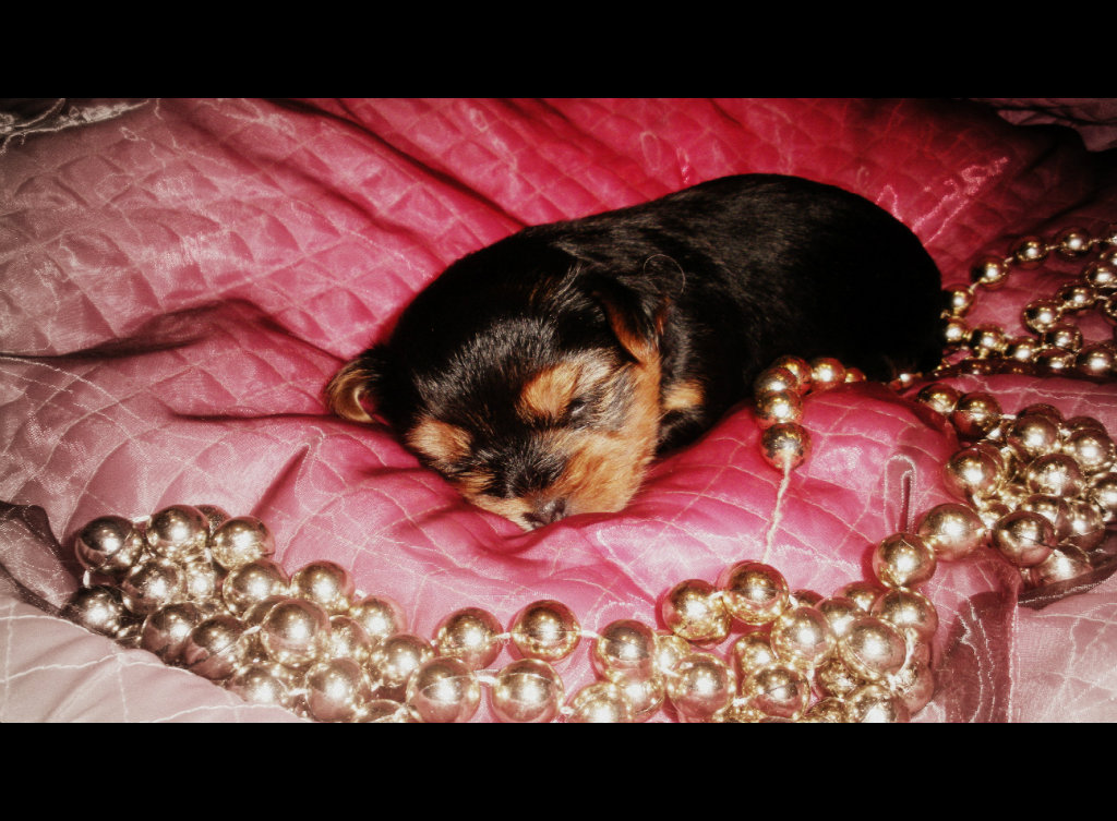 5 #  . jeszcze troch  