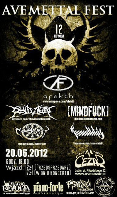 AVE METTAL FEST 12
