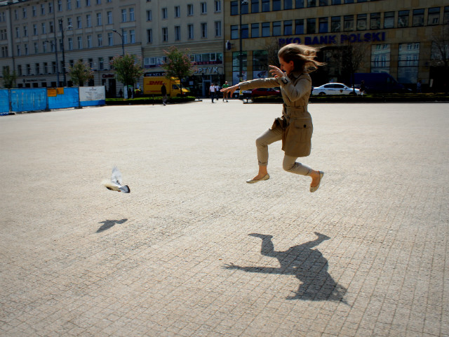 Fly away 