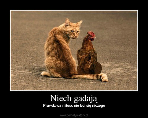 notka number 1.