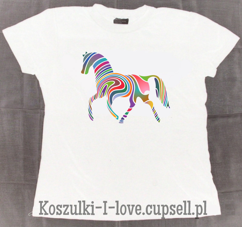 Koszulka ko multikolor