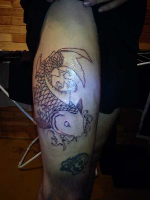 koi in progress