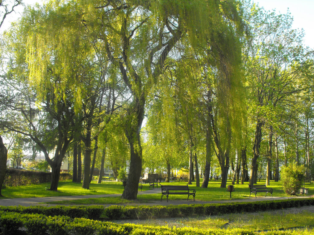 Park w CETNIEWIE