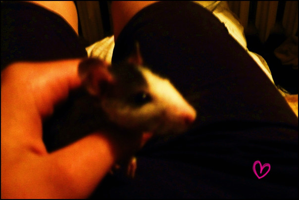 Jajowr . ;  ) 