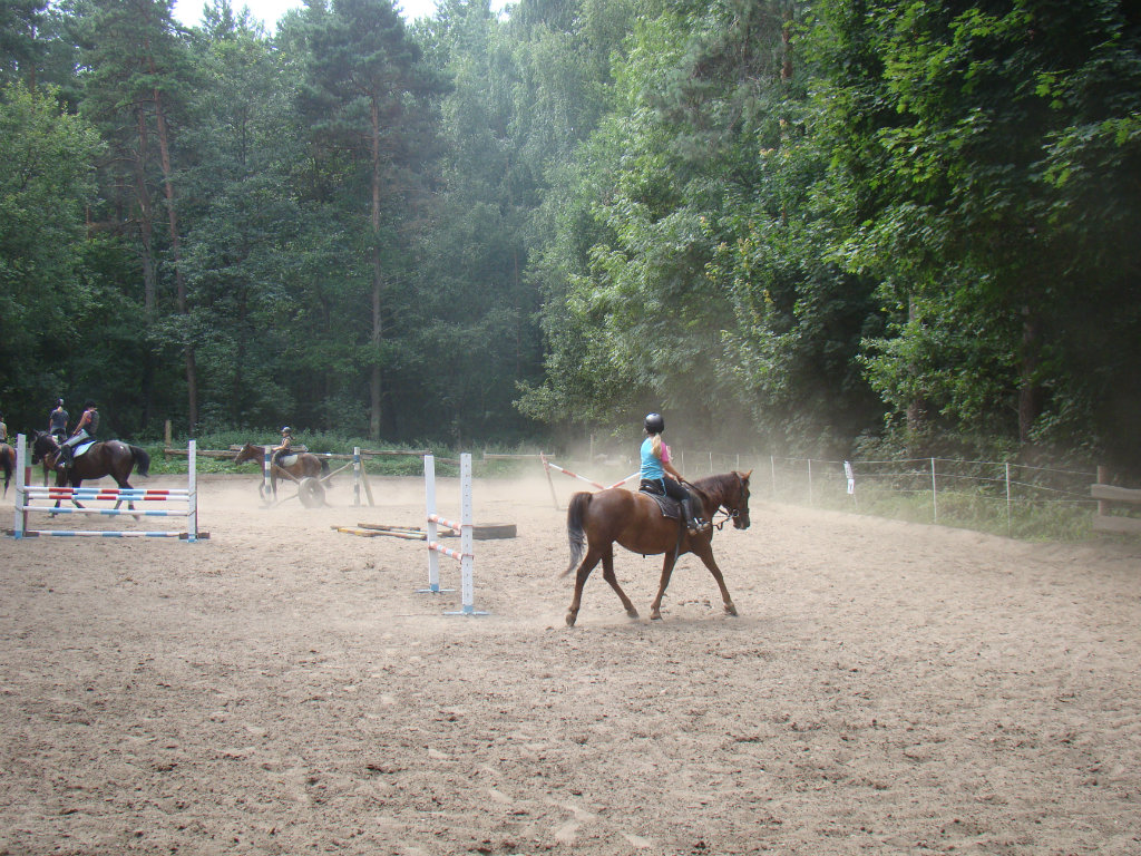 2009 xd :D