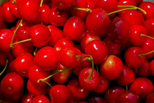 120. Cherries.