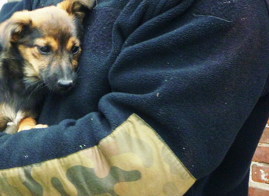 :3 .