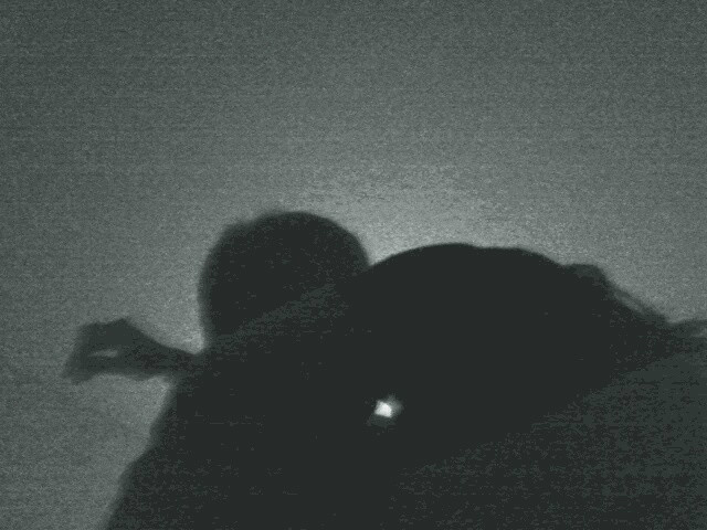 Together 