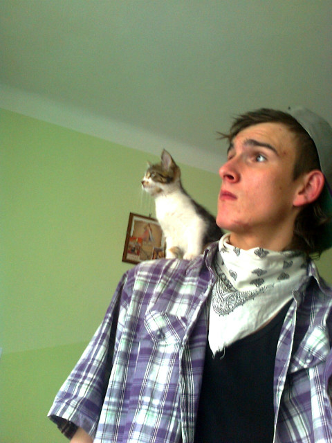 Mc i Emsi.