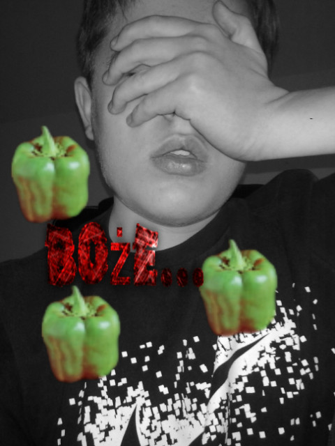 O BOE....