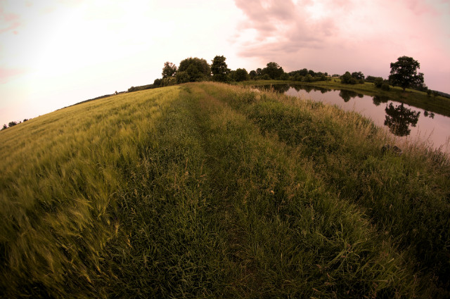 FishEye