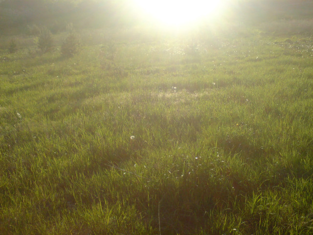 ' ycie depcze wyobrani ' 