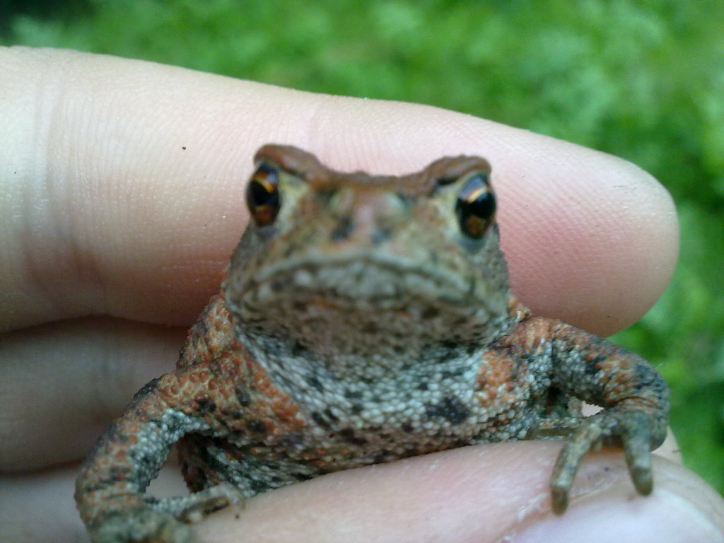 Rowery :D