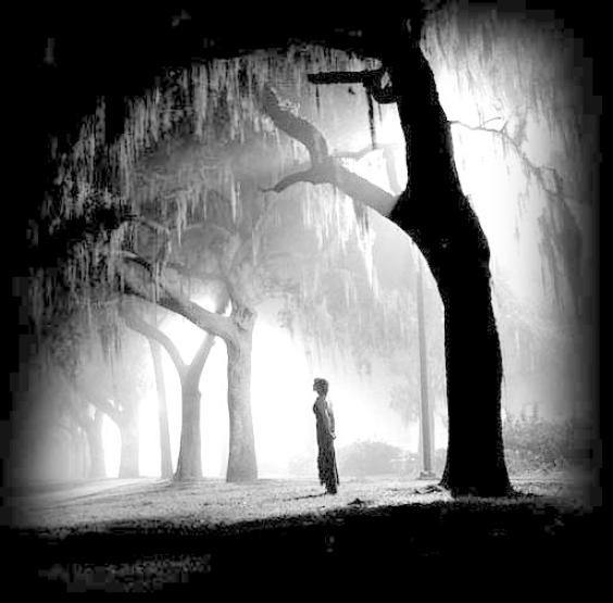 alone.