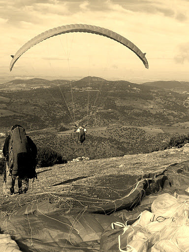 paraglider