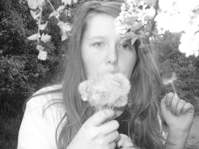 dmuchawce latawce wiatr :D