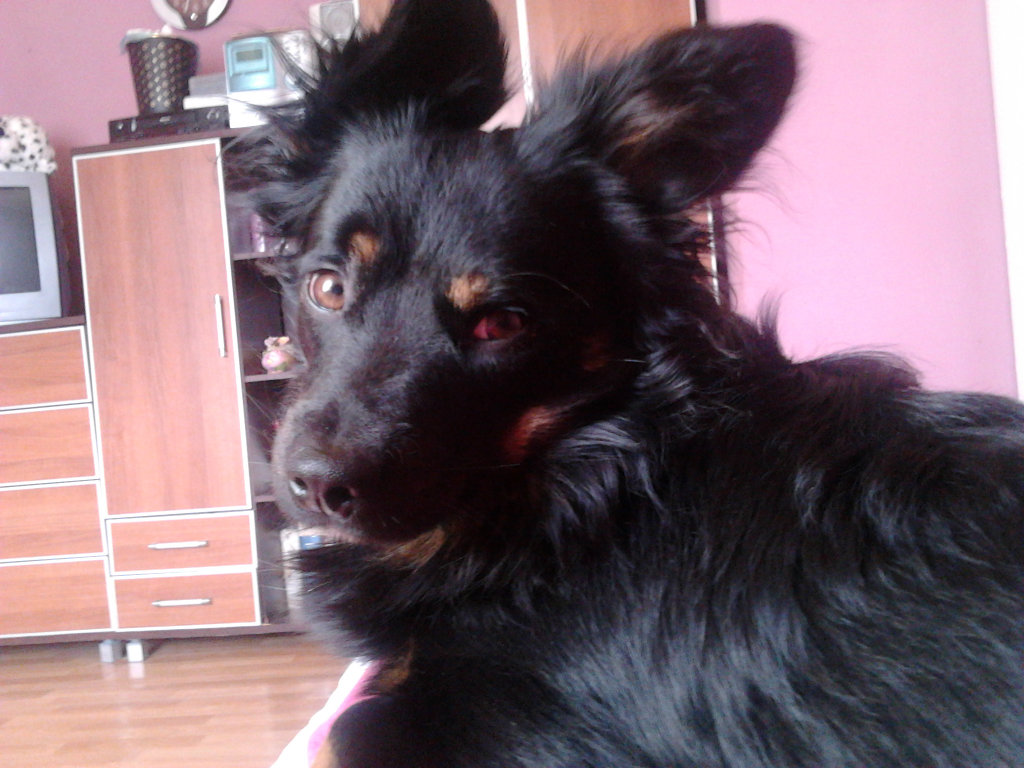 i co ty babo ode mnie chcesz?;d