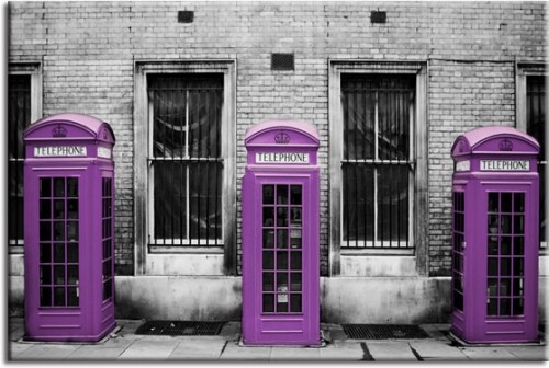 black and purple . 