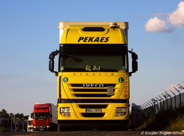 Iveco cz. 2