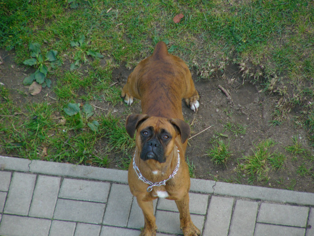 Sabula