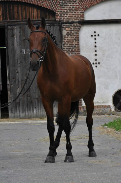 Milord
