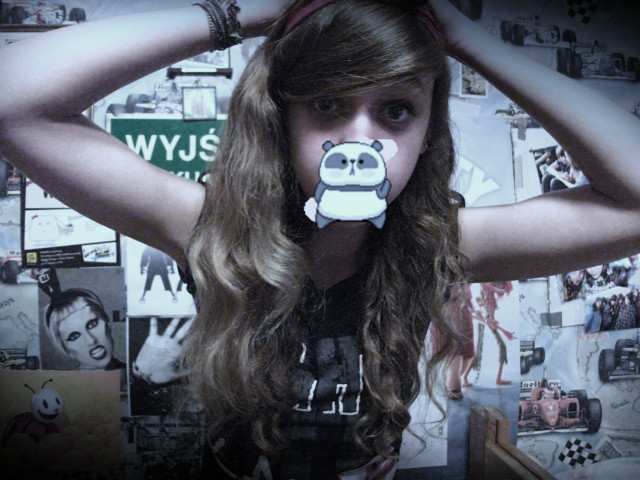 siema panda