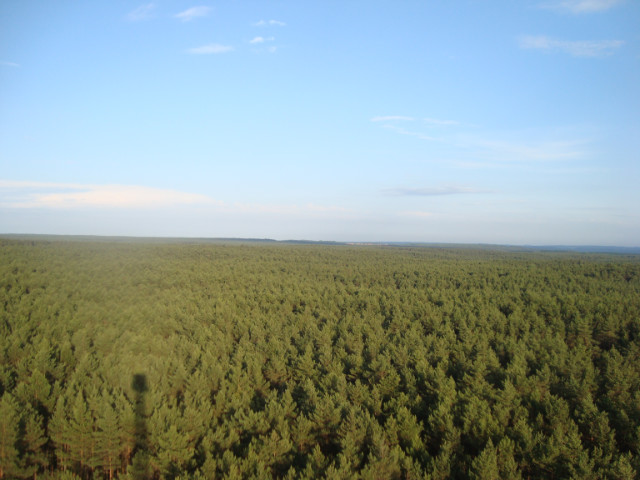Wiea obserwacj przeciwpoarowej