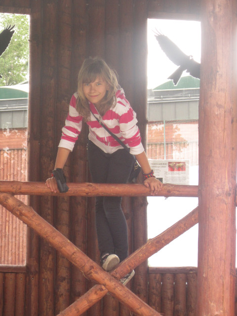 Zoo