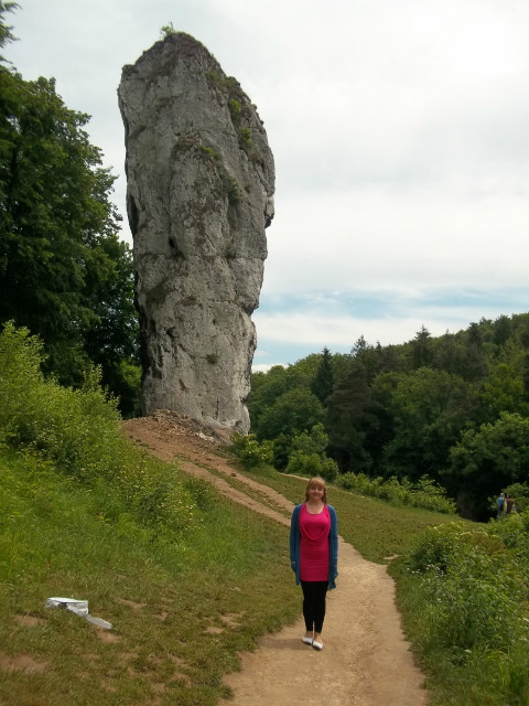 Maczuga herkulesa