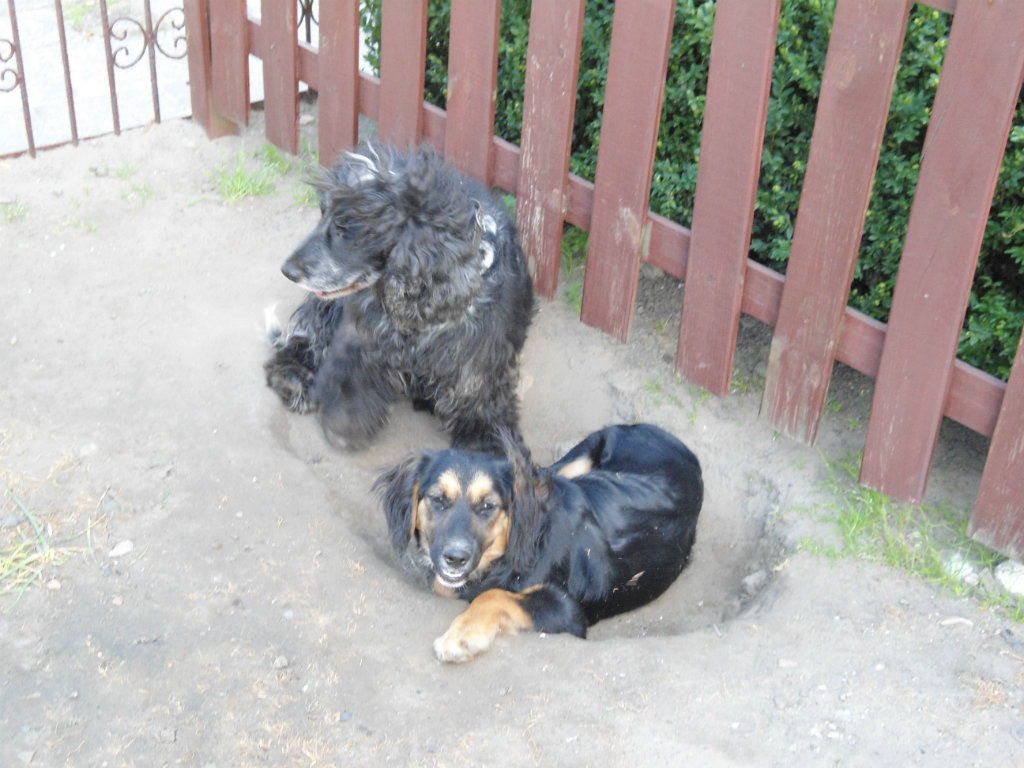 Moje Piechy ;p